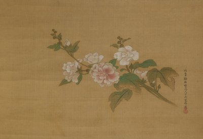 A branch of flowering hibiscus, Edo Period by Kanō Tan’yū
